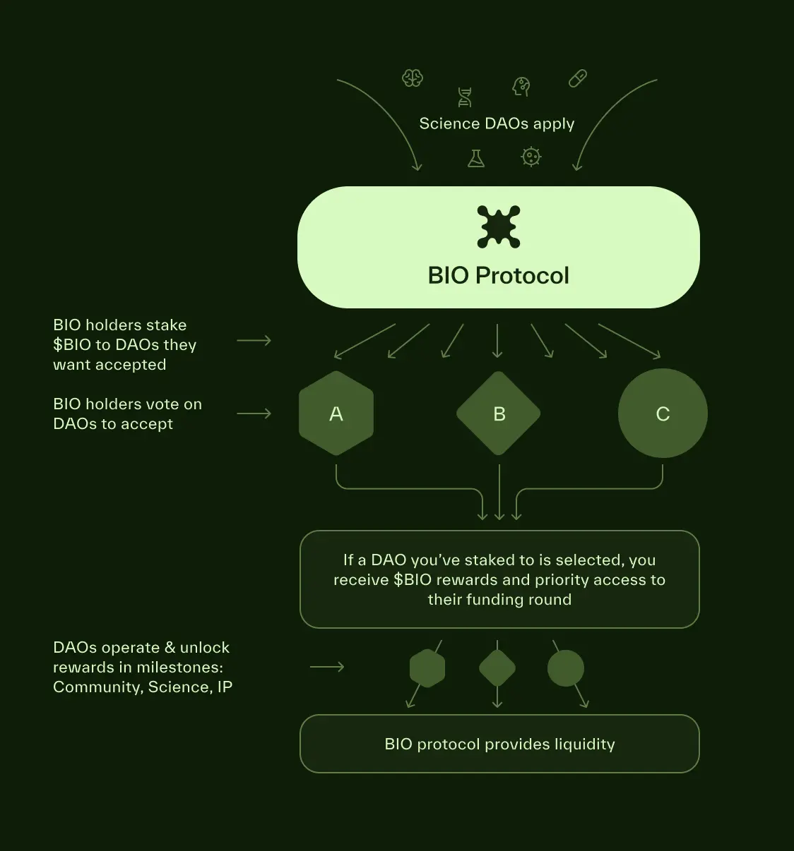 解读 BIO Protocol：Binance Labs 首涉 DeSci 投资，构建有意义的科研资助孵化器第5张