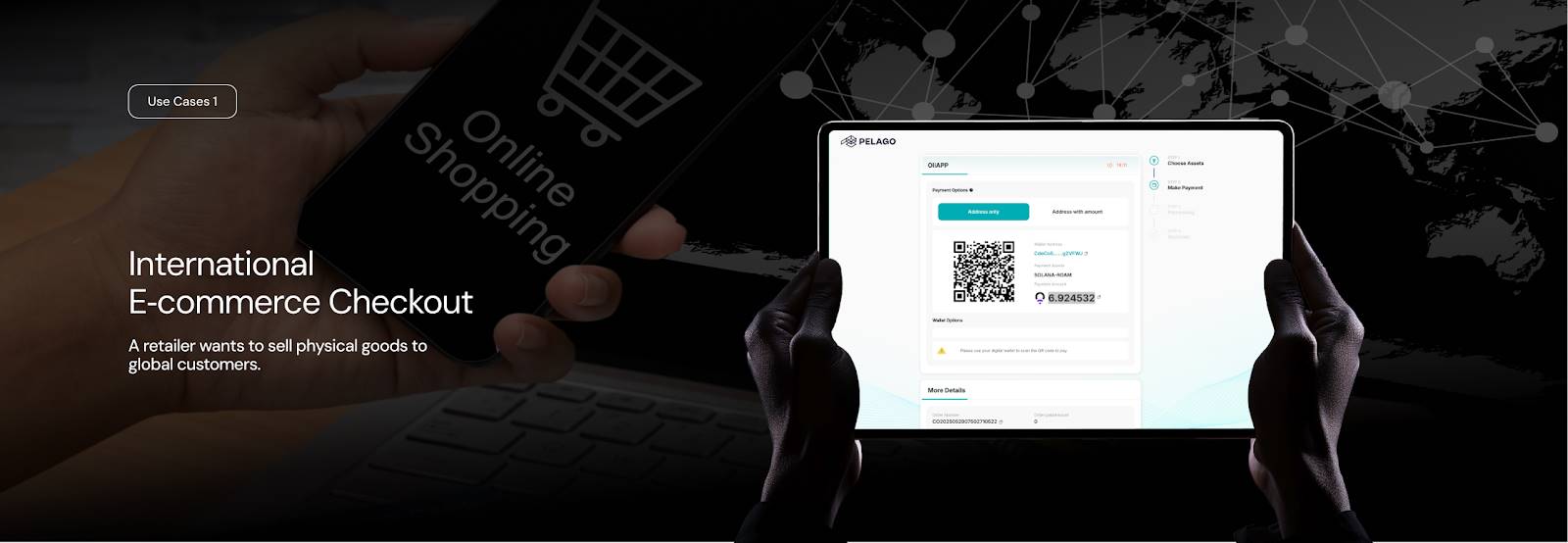PolyFlow 重磅推出 Pelago Connect 稳定币支付网关，赋能全球商业第2张