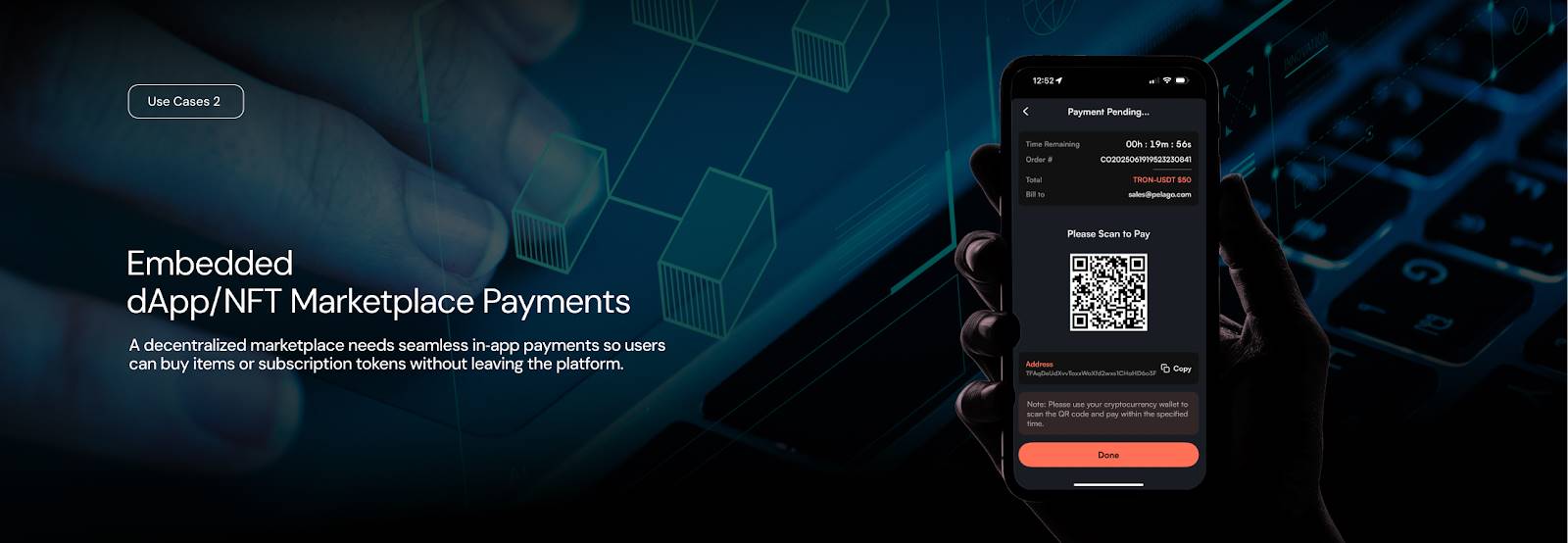 PolyFlow 重磅推出 Pelago Connect 稳定币支付网关，赋能全球商业第3张