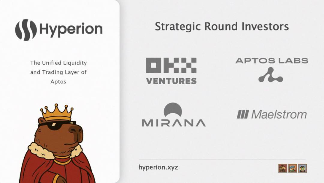 速览 Hyperion：币安新玩法首期项目是何来头？第3张