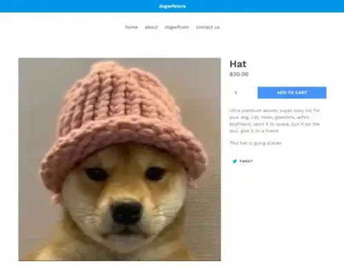 这个 Meme 发射台花费近 80 万美元买了一顶 30 美元的帽子？第1张