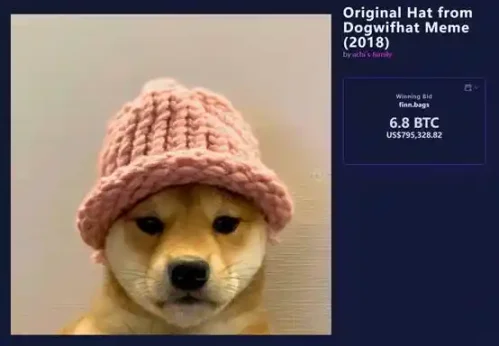 这个 Meme 发射台花费近 80 万美元买了一顶 30 美元的帽子？第2张