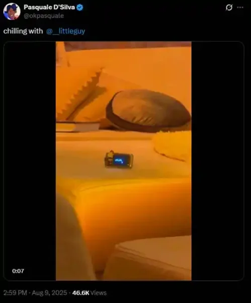 7 天 600 倍，AI 季 2.0 会因为这只狗开始吗？第10张