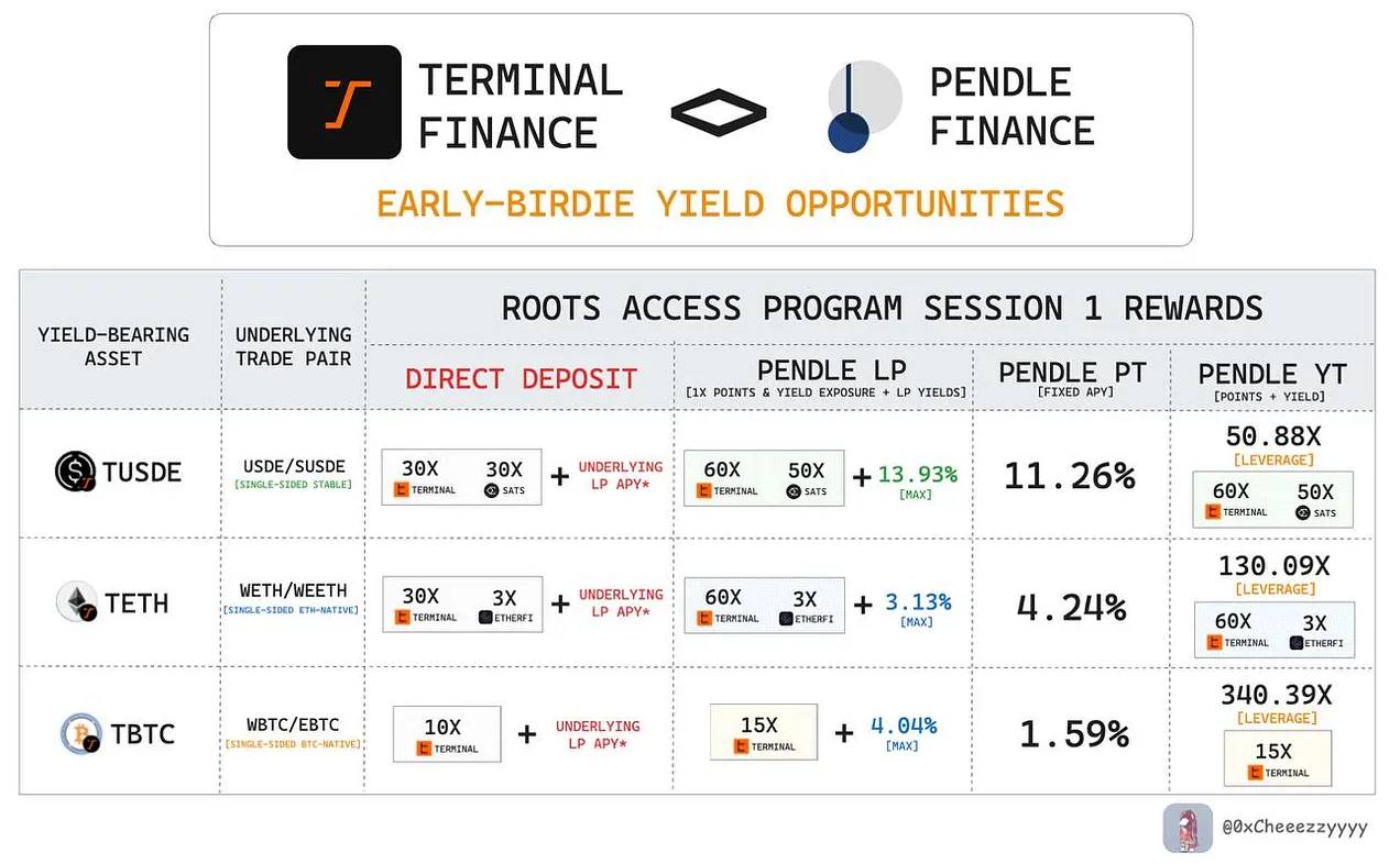 Pendle 押注 Terminal Finance,撬动机构资金的新棋局第6张「BreakingCoin」 Pendle 押注 Terminal Finance,撬动机构资金的新棋局第6张