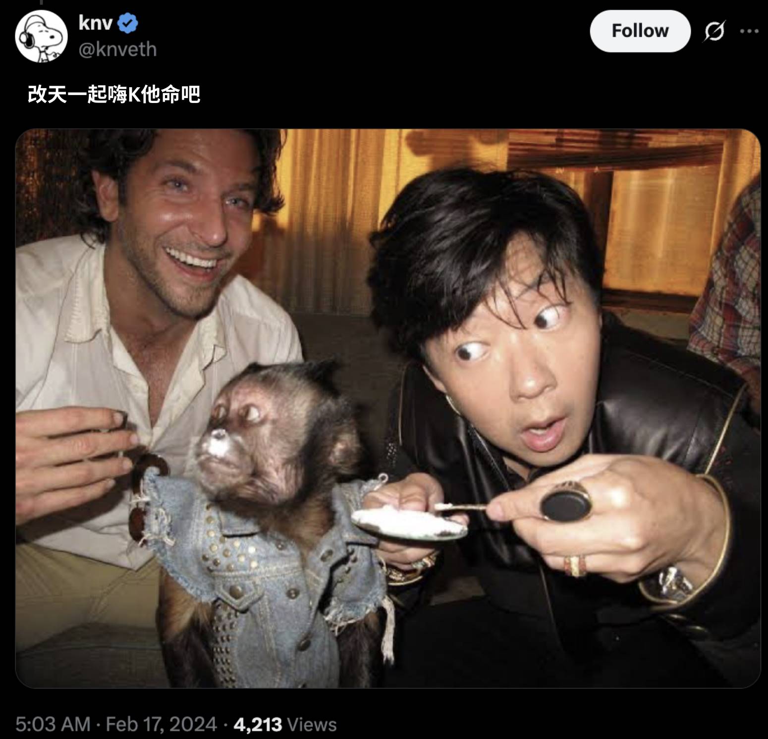 Gbirb，Moonbirds 浴火归来第5张