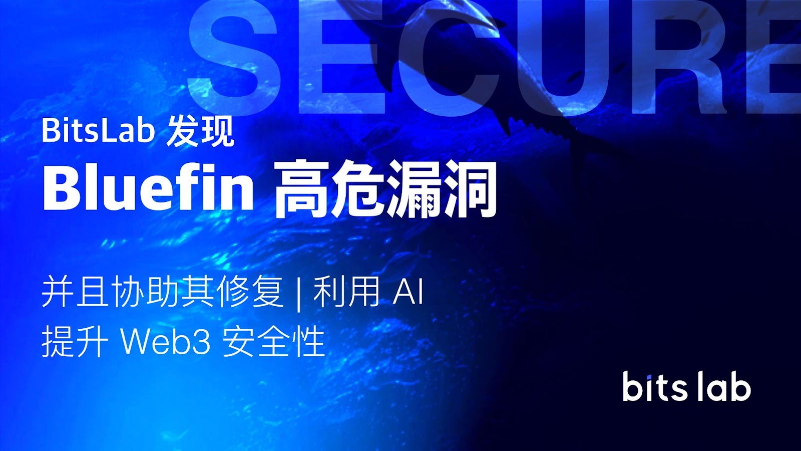 BitsLab 旗下 AI 工具发现并协助修复 Bluefin 的高风险漏洞第1张