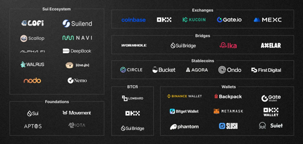 深度观察Sui生态DEX代表——Momentum的快速崛起第5张