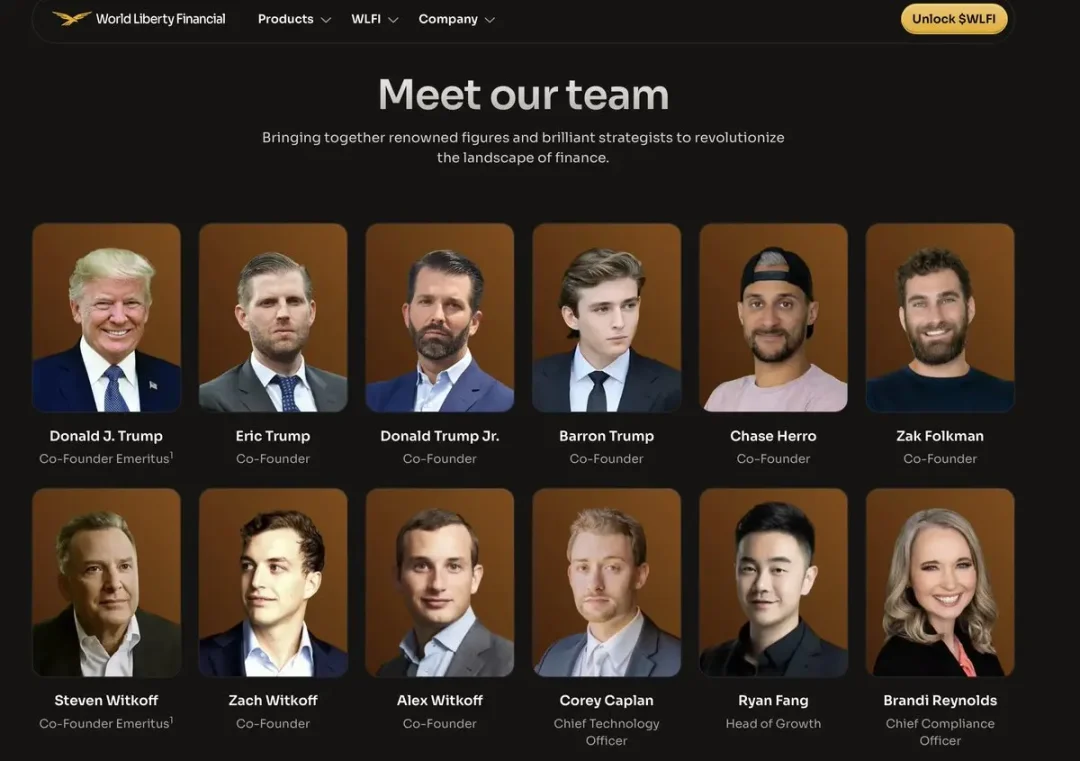 Momentum 6 合伙人自述 WLFI 投资逻辑：为何敢押注七位数？第1张