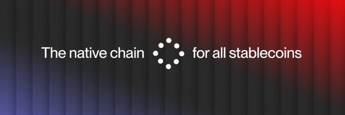 稳定币基建之战：6 大项目角逐，谁将脱颖而出？第11张