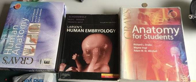 医学生转行加密亲述：别让沉没成本，困住你的人生第1张