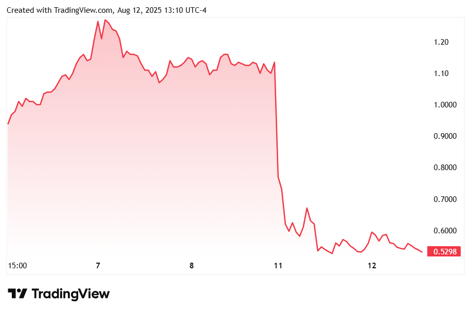 当一家饮料公司，决定用股权换 BONK 分红第1张