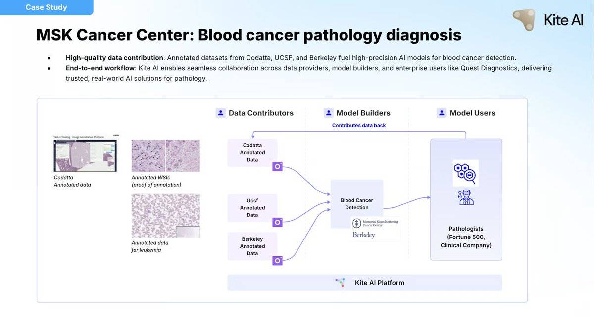 Kite AI：打造智能体的应许之地第13张