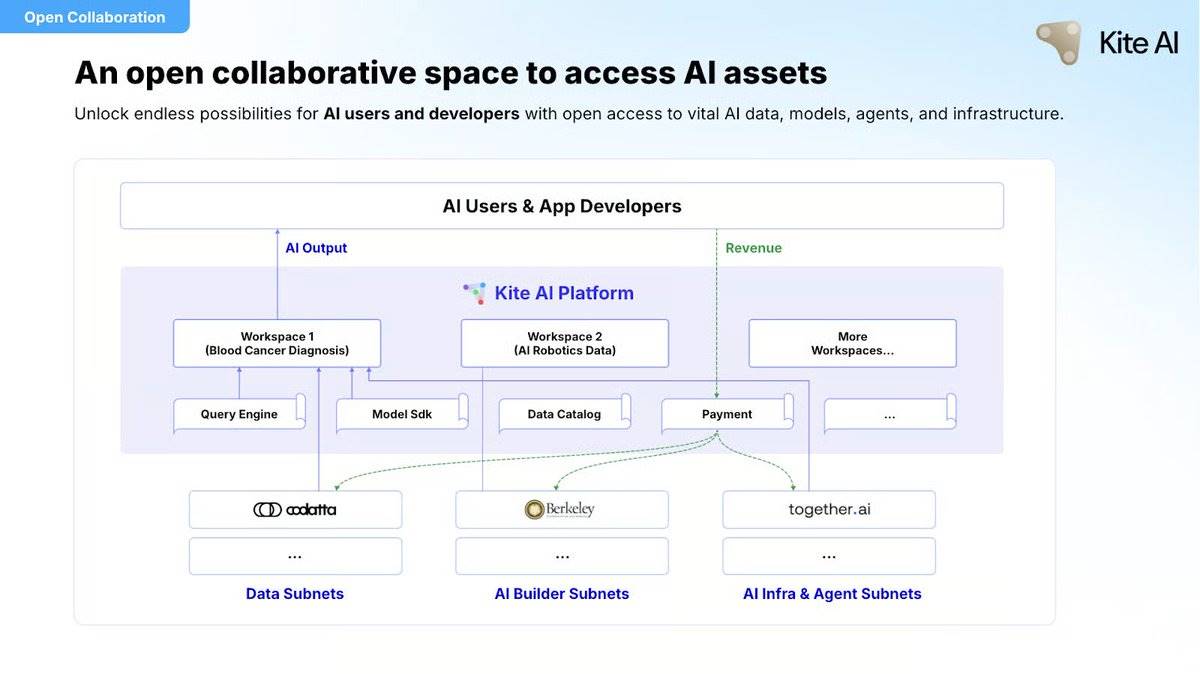 Kite AI：打造智能体的应许之地第12张
