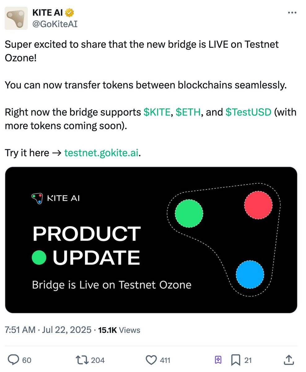Kite AI：打造智能体的应许之地第16张