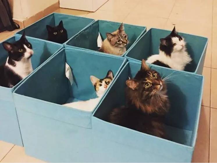 Kiwi 联创：关于构建消费者加密应用的那些事第14张