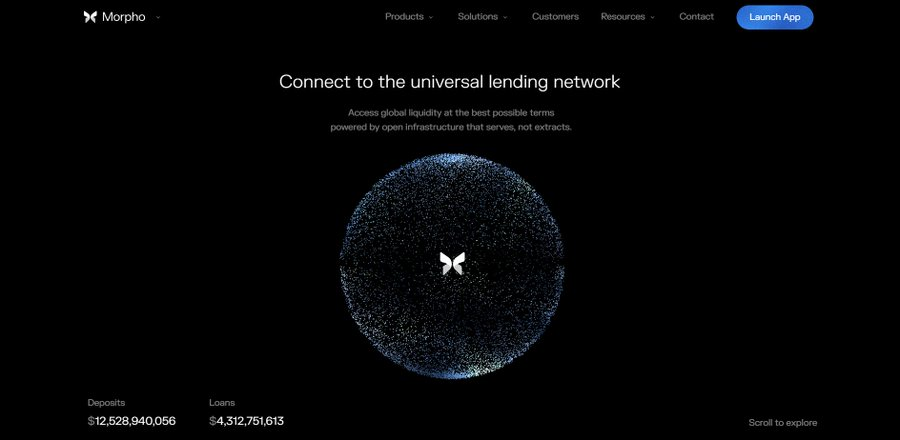 Morpho 吸金 120 亿之谜：这些大户到底在玩什么？第1张