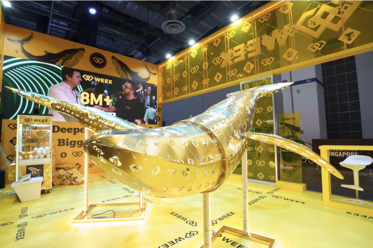 对话 WEEX 联创：Hyperliquid 崛起，CEX 的合约竞争生存之道第1张