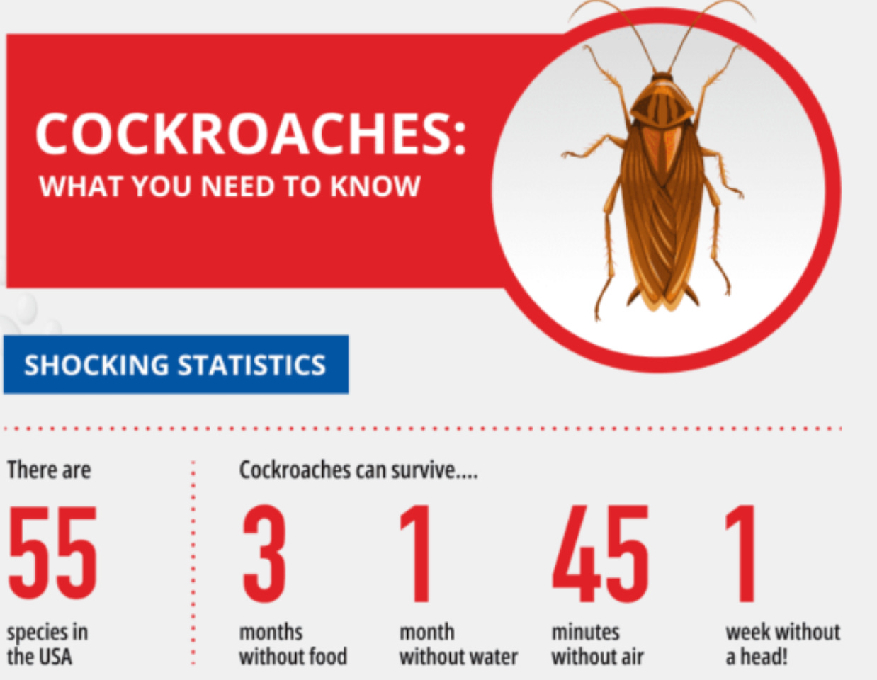 致富是一场消耗战：即使是天才也会被贪婪击倒第4张