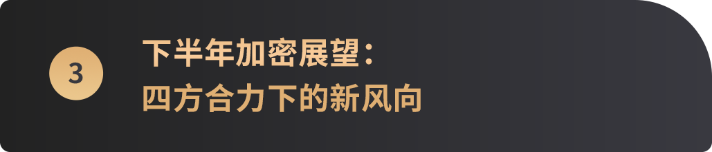 2025上半年落幕，哪些主线将成就下半年“加密新引擎”？