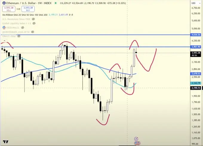 机器人策略实战：牛市回调阶段，10大山寨币布局指南