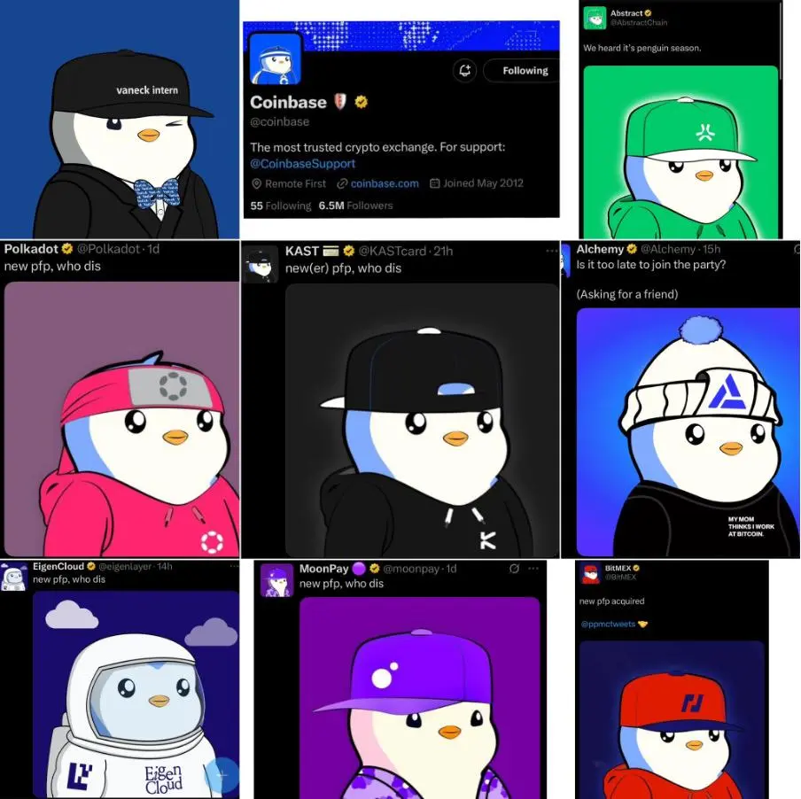 胖企鹅刷屏加密朋友圈，一场加密精英文化胜利