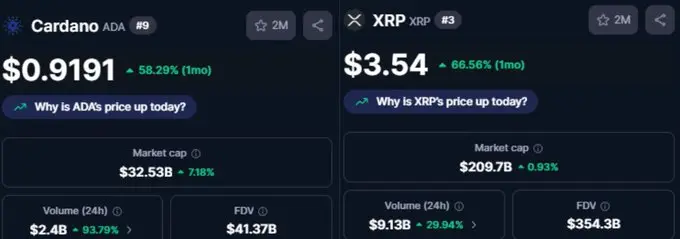 劳力士：加密牛市的顶部警报灯