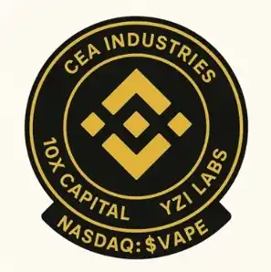 华人首富操盘BNB财库，无名小盘股暴涨600%